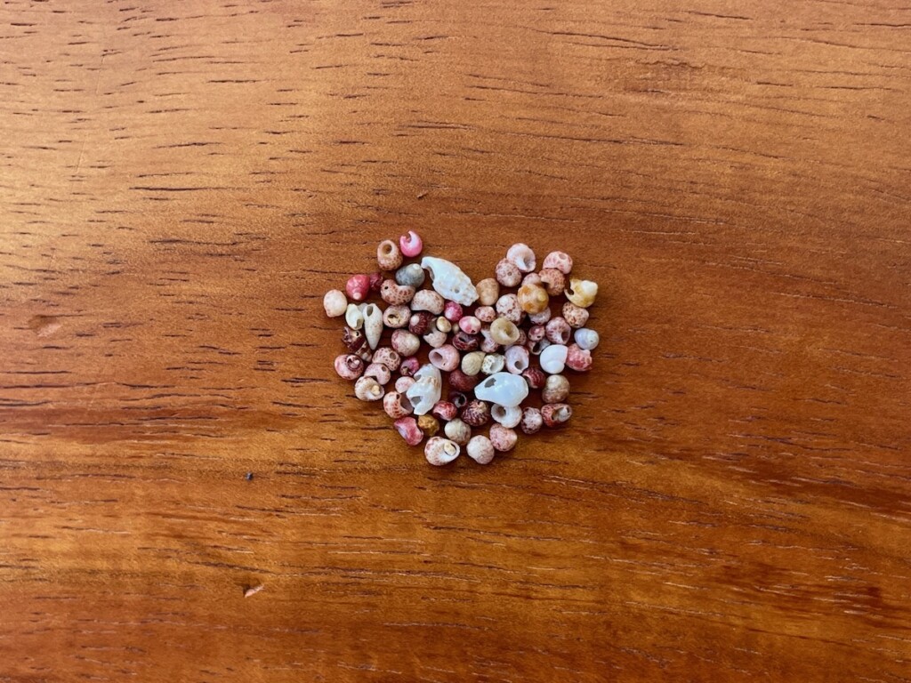 Maui Hands Shells Edited