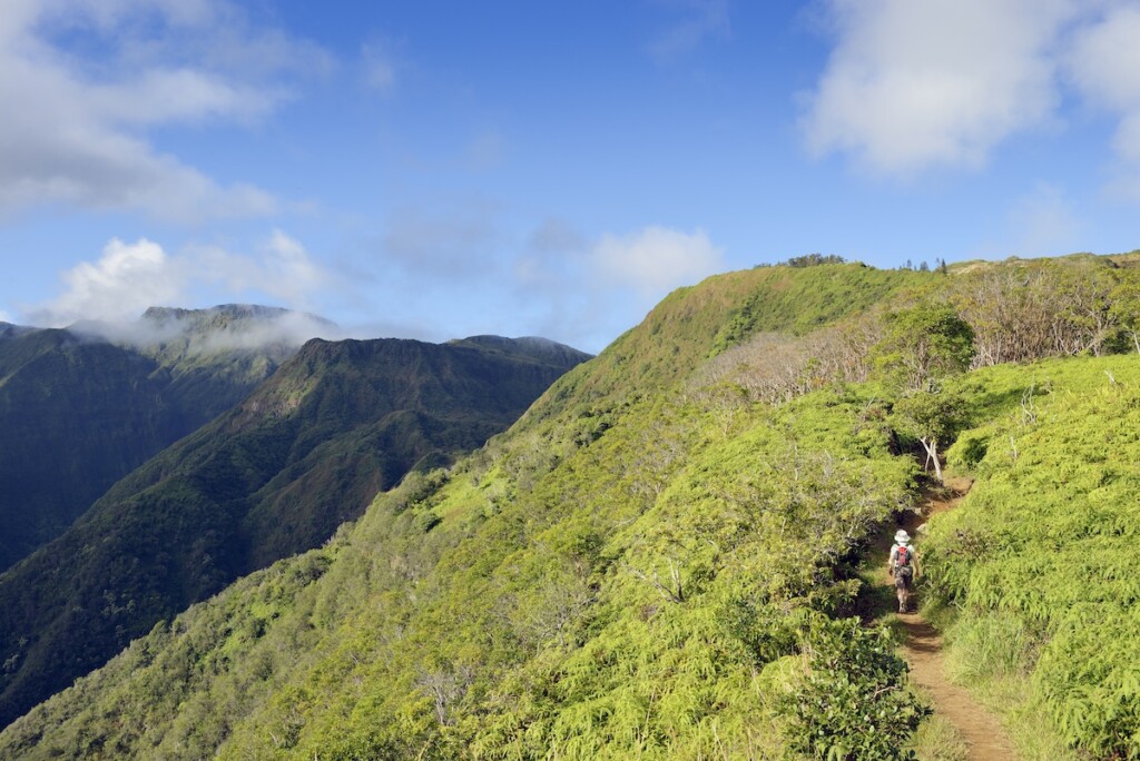 Usa, Hawaii, Maui, Woman Hiking On Waihee Ridge Trail