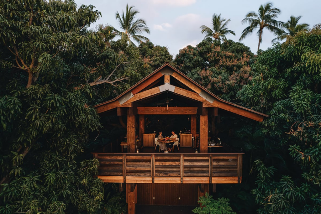 Treehousehotelwailea