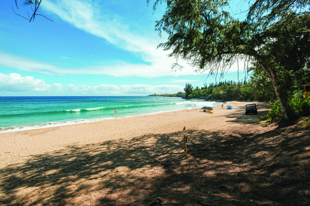 10 1024 Dt Fleming Ay