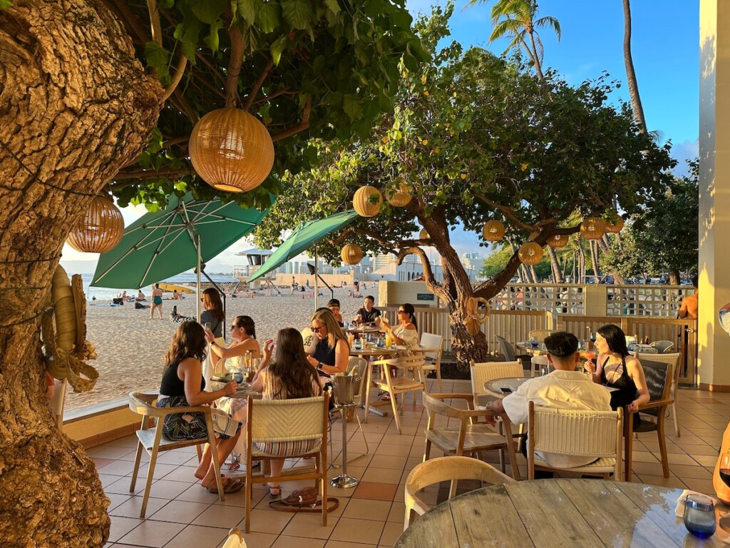 20250204 Sb Hau Tree Lanai