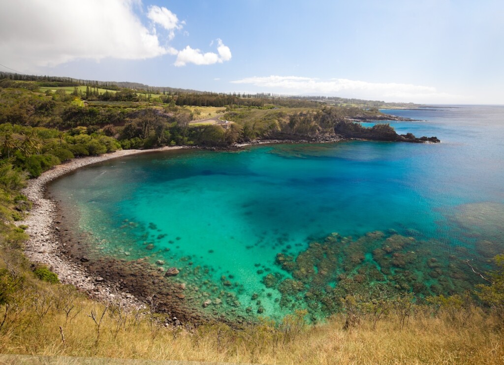 Honolua Bay Maui