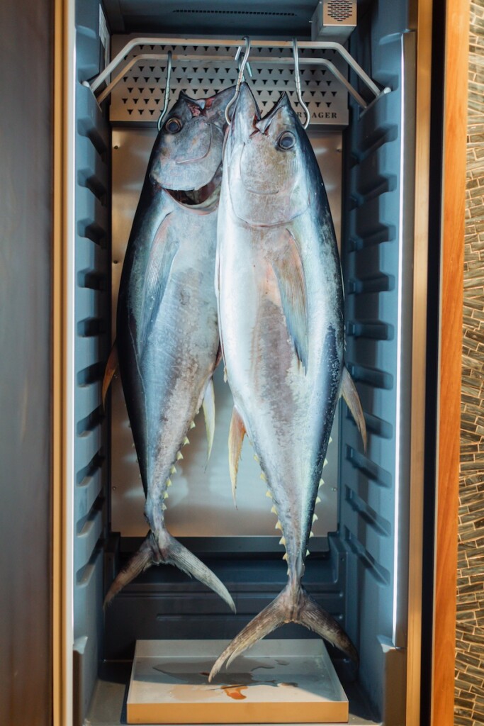 20250318 Koast Koast Ahi From Koast