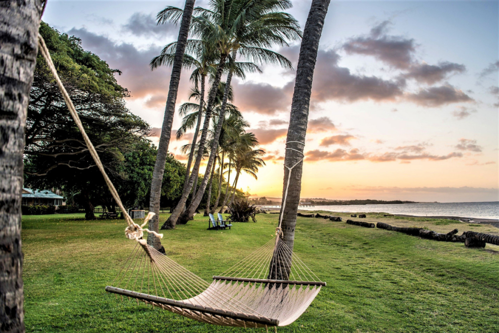Waimeaplantationhammock