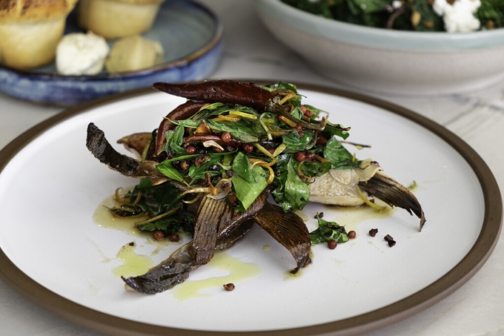 20250318 Koast Kampachi Collar Sarah Burchard 7