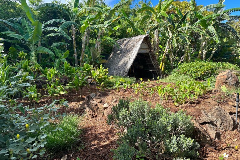 CanoeCropGardenFourSeasons