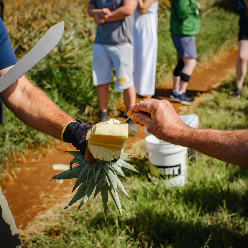 Maui Pineapple Tour