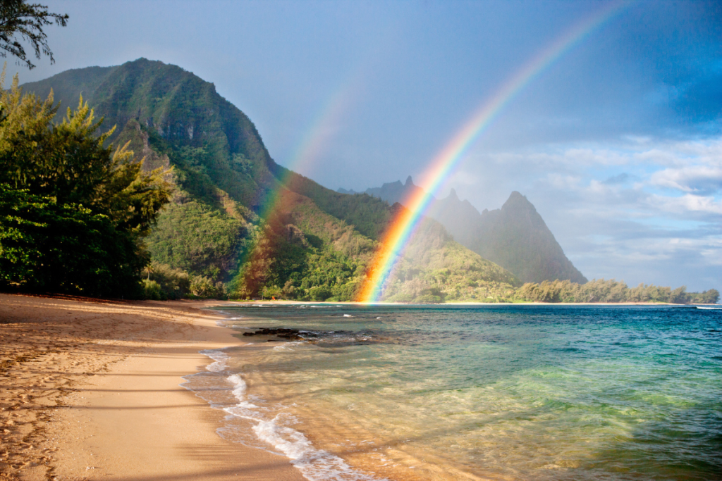 Reasonstolovekauai