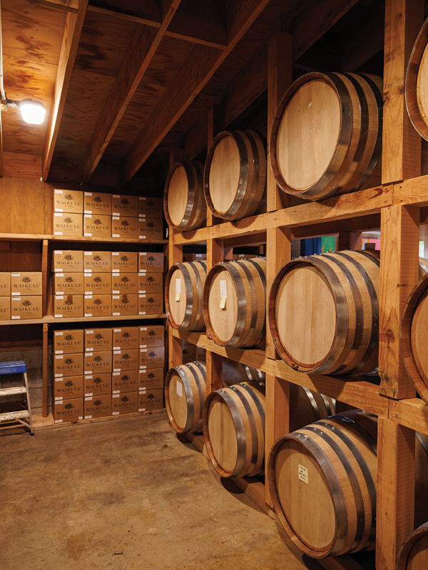 03 25 Him Island Hopping Maui 4