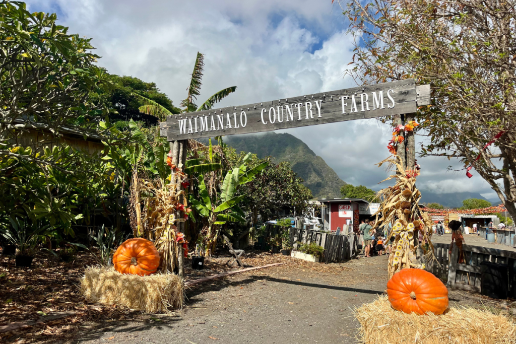 Waimanalocountryfarmsfallfestival