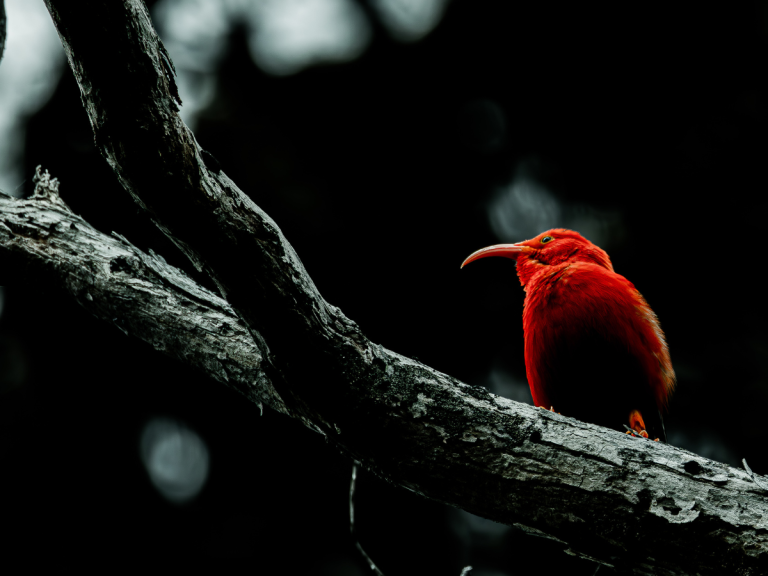 2025 Grand Prize Jason Hetzel